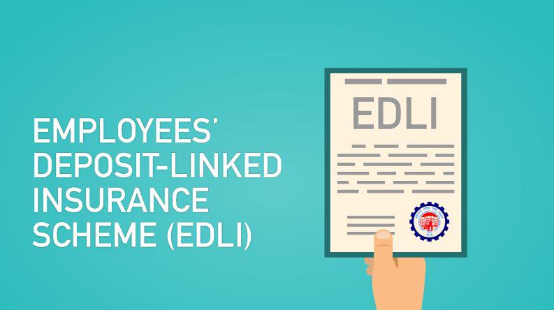 edli meaning and features