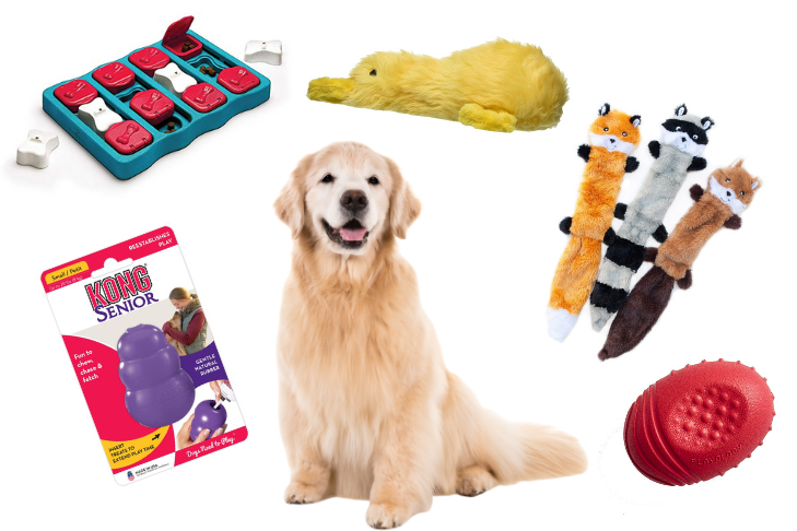 petzone kuwait online stores and products